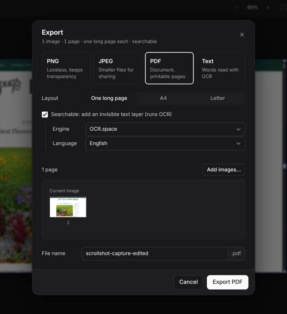 The ScrollShot export dialog: PNG, JPEG, PDF or Text, with a searchable PDF option and page preview